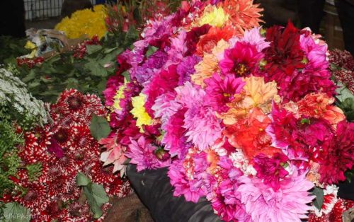 photo tour of flower market in Delhi